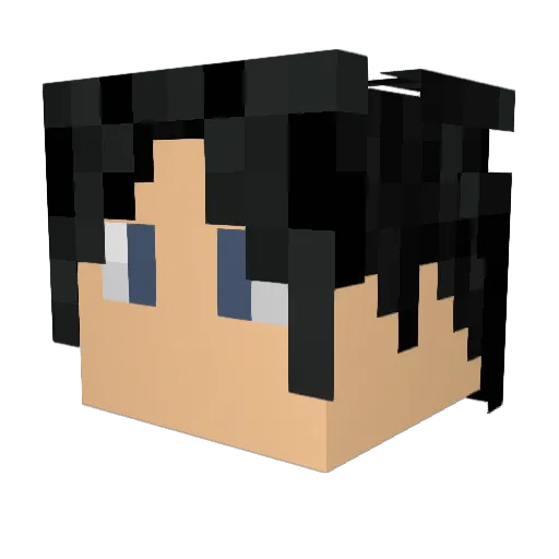 Accronomicc Minecraft avatar head, 3D render