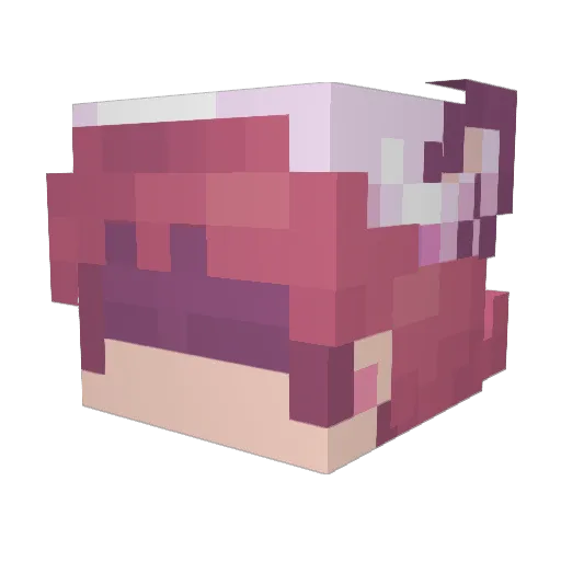 AccuratePanda Minecraft avatar head, 3D render