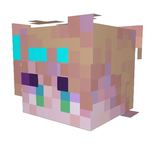 Ace0322 Minecraft avatar head, 3D render