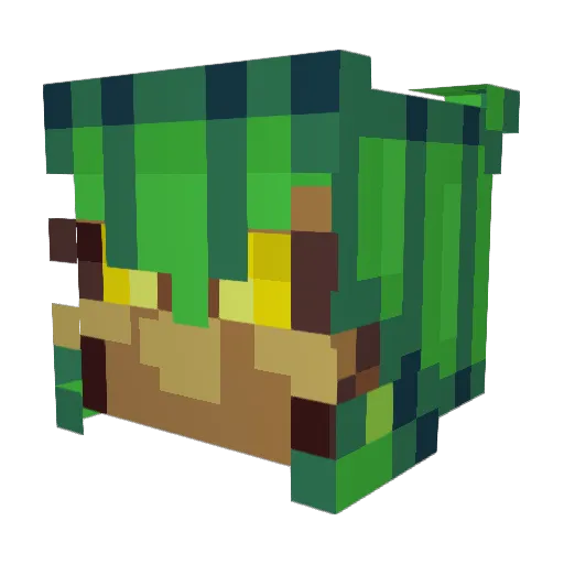 Ace0fDragons Minecraft avatar head, 3D render