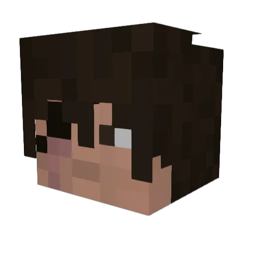 Ace1132 Minecraft avatar head, 3D render