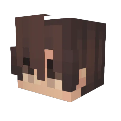 Ace1330 Minecraft avatar head, 3D render