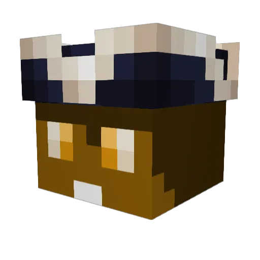 Ace521 Minecraft avatar head, 3D render