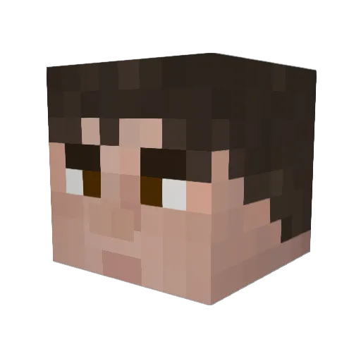 Ace776 Minecraft avatar head, 3D render