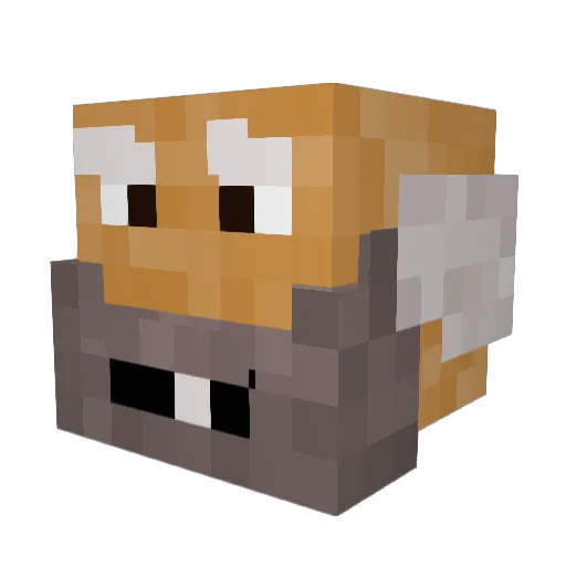 AceBananaman Minecraft avatar head, 3D render