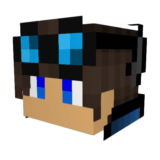 AceCraftGamer Minecraft avatar head, 3D render