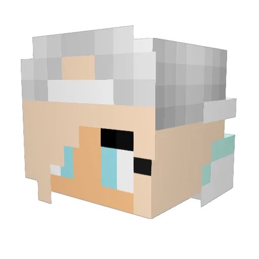 AceDragon900 Minecraft avatar head, 3D render