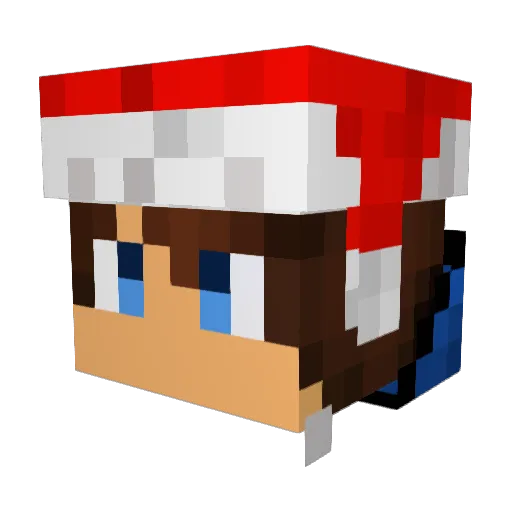 AceGON Minecraft avatar head, 3D render