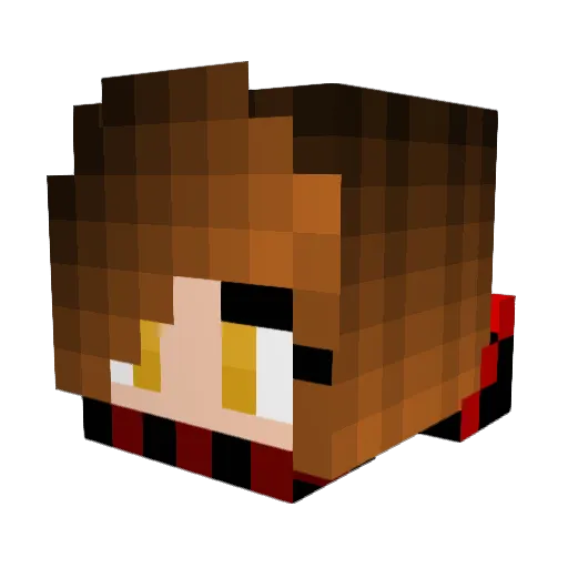 AceGreyFalcon Minecraft avatar head, 3D render