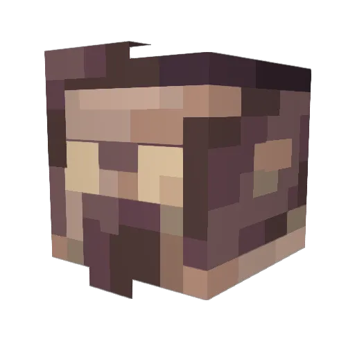 AceJ Minecraft avatar head, 3D render