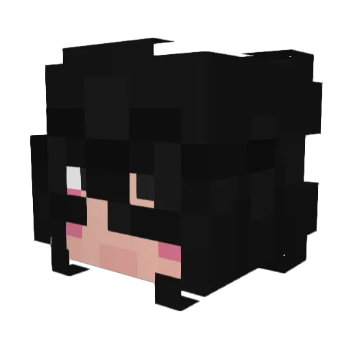 AceLo9ic Minecraft avatar head, 3D render