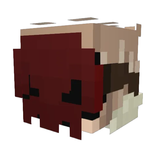 AceOfDestiny Minecraft avatar head, 3D render