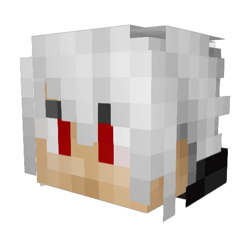 AceOfMinecrafts Minecraft avatar head, 3D render