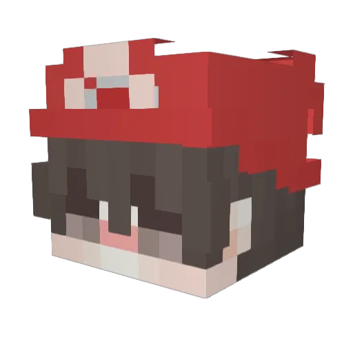AceOfNothing Minecraft avatar head, 3D render