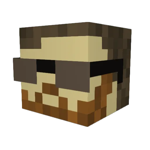 AceOfPlays Minecraft avatar head, 3D render