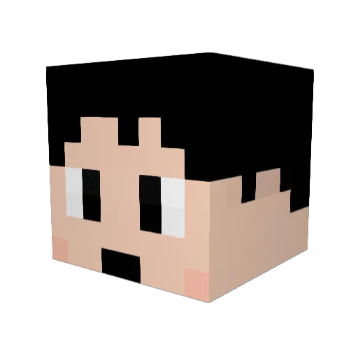 AceR_mat Minecraft avatar head, 3D render