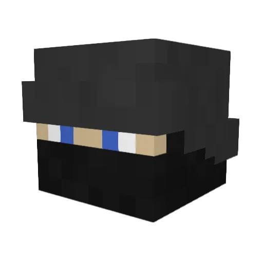 AceShady313 Minecraft avatar head, 3D render