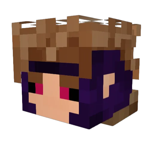 AceSpaceCase Minecraft avatar head, 3D render
