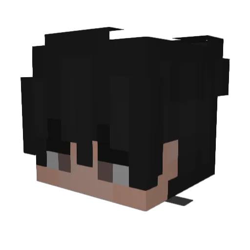 AceStaysHydrated Minecraft avatar head, 3D render