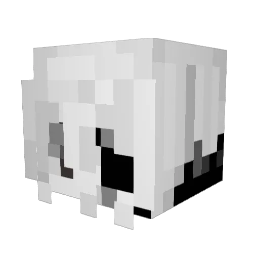 AceTrainerNova Minecraft avatar head, 3D render