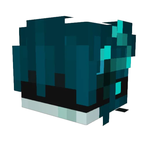 AceWhyNow24 Minecraft avatar head, 3D render