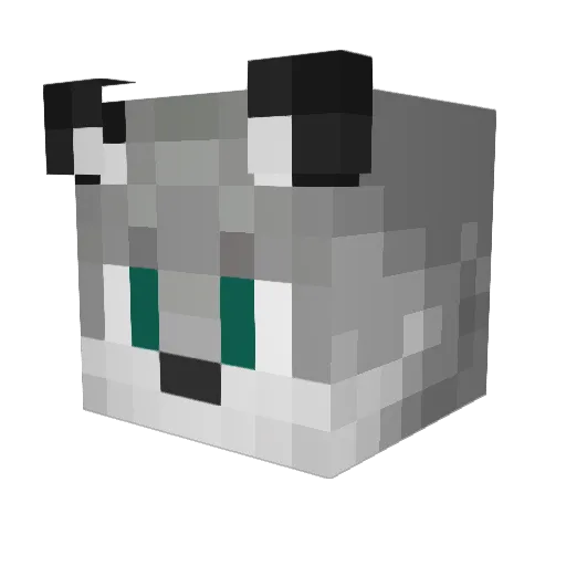 AceWolfborn Minecraft avatar head, 3D render