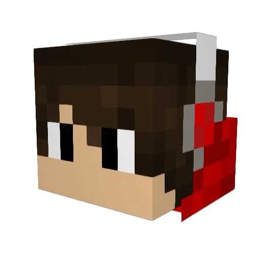 Ace_Arrow122 Minecraft avatar head, 3D render