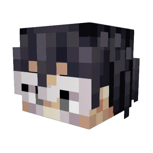 Ace_Ballad Minecraft avatar head, 3D render