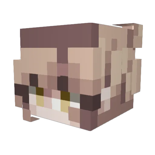 Ace_Murasaki Minecraft avatar head, 3D render