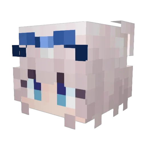 Ace_T1fow Minecraft avatar head, 3D render