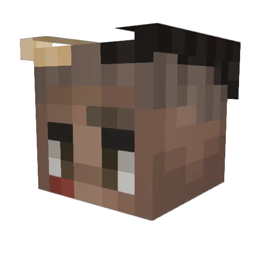 Ace_Toxics Minecraft avatar head, 3D render