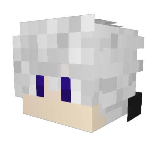 Acebon Minecraft avatar head, 3D render
