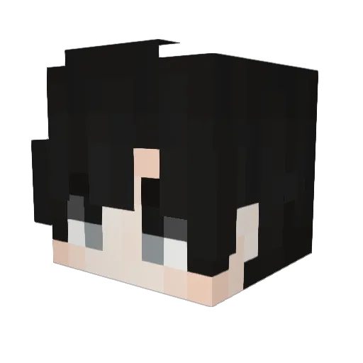 Acecrust Minecraft avatar head, 3D render