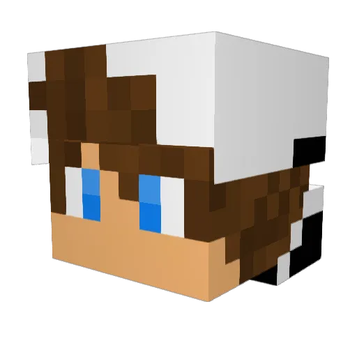 AcedToast Minecraft avatar head, 3D render