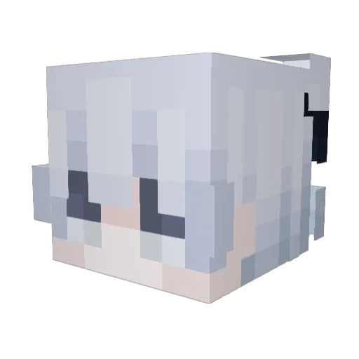 Aced_Xavier Minecraft avatar head, 3D render