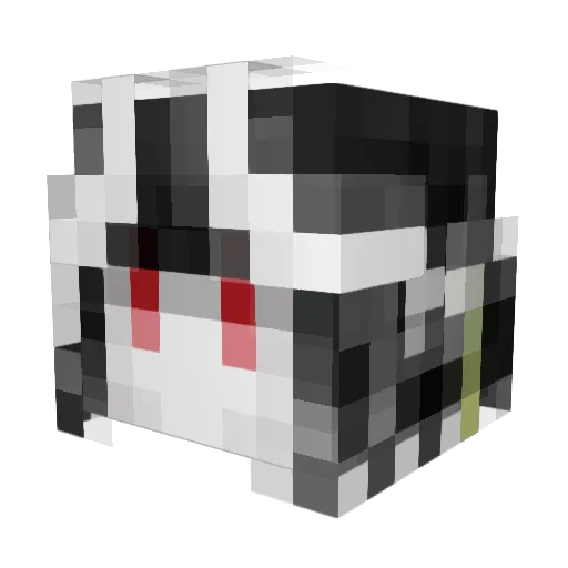 Acedia0617 Minecraft avatar head, 3D render