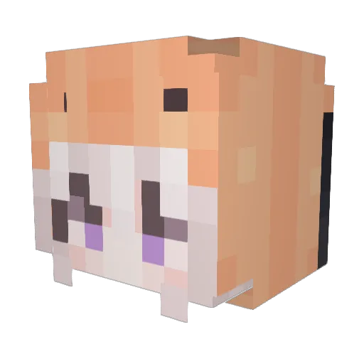 Acediaa_ Minecraft avatar head, 3D render