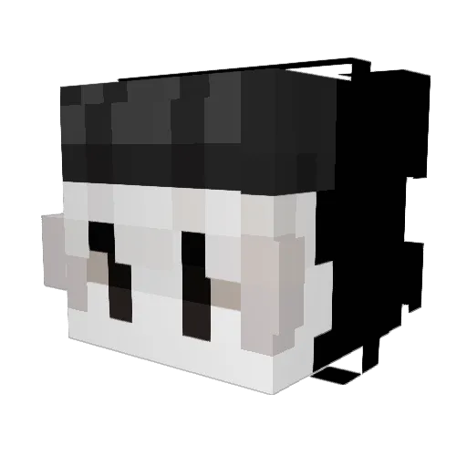 Acedragonm Minecraft avatar head, 3D render