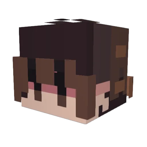 Acee00 Minecraft avatar head, 3D render