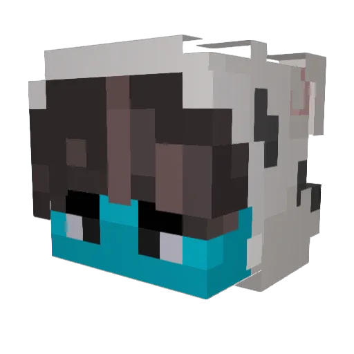 Acee4 Minecraft avatar head, 3D render