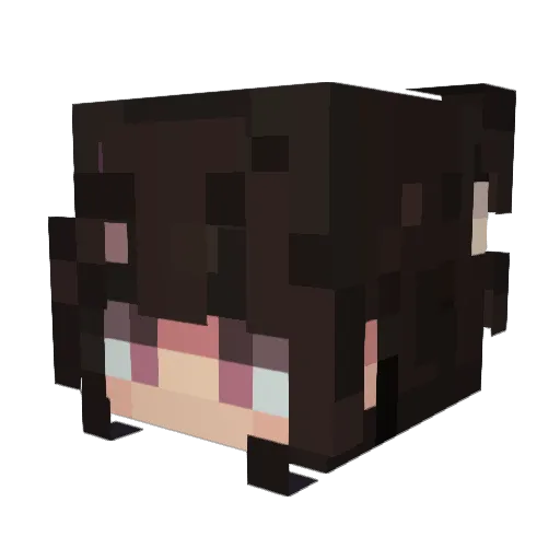 Aceeiss Minecraft avatar head, 3D render