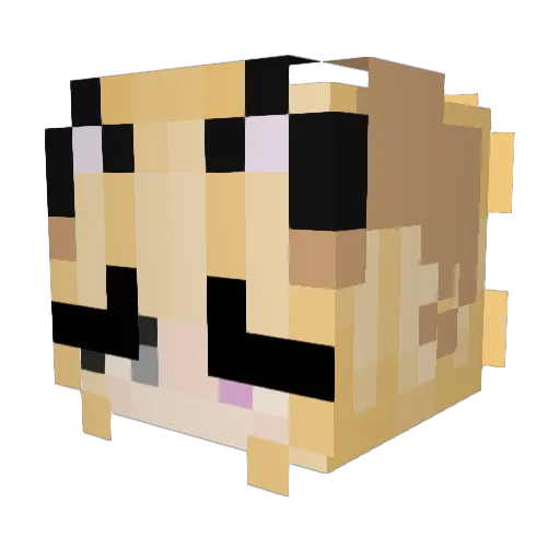 Aceer_ Minecraft avatar head, 3D render