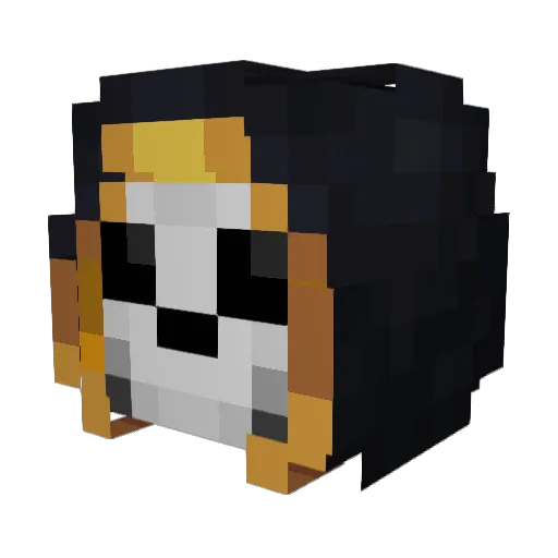 Acegaming412 Minecraft avatar head, 3D render