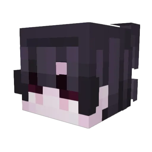 Aceisreal Minecraft avatar head, 3D render