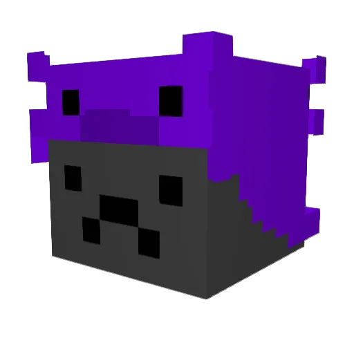 Acelolpl Minecraft avatar head, 3D render