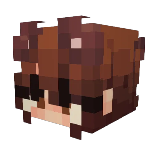 Acelyaarslank Minecraft avatar head, 3D render