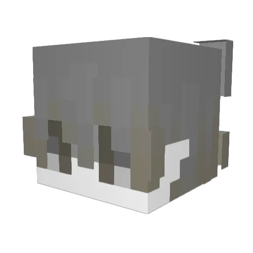 Acend_9_9 Minecraft avatar head, 3D render