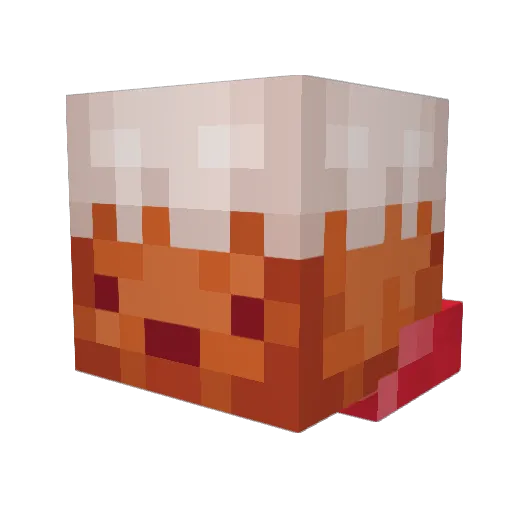 Aceninja202 Minecraft avatar head, 3D render