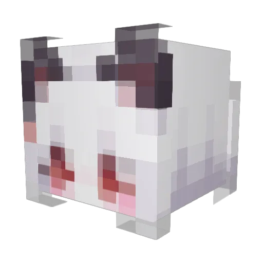 Aceny1 Minecraft avatar head, 3D render