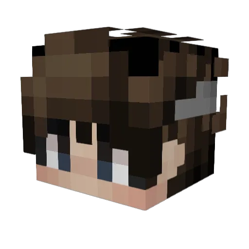 AceofWands_ Minecraft avatar head, 3D render